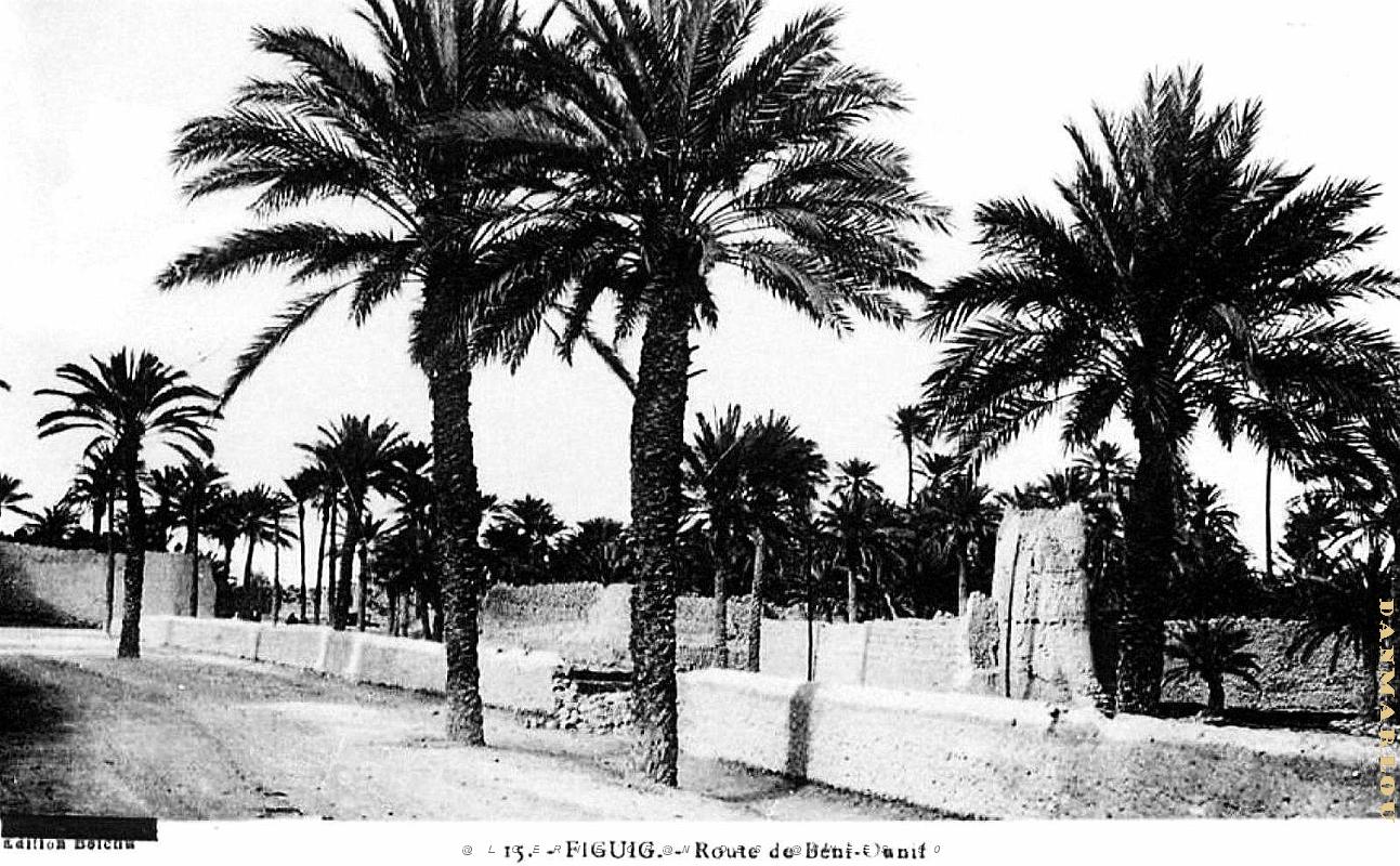 Figuig - Route de Beni-Ounif  .jpg